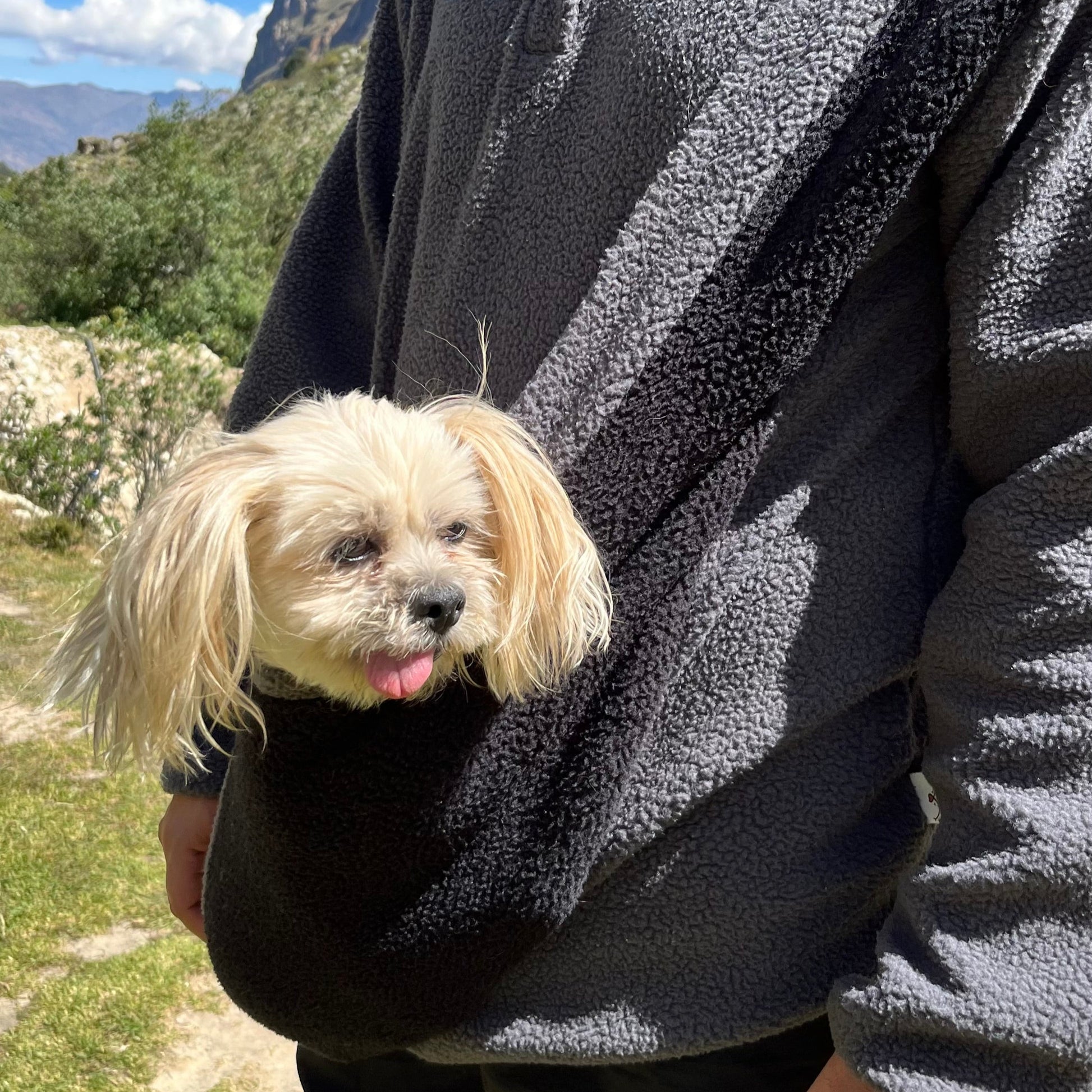 Polera Cangu Pet