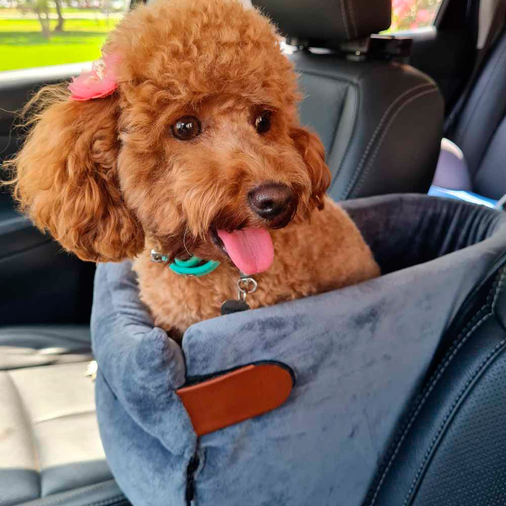 Asiento de auto
