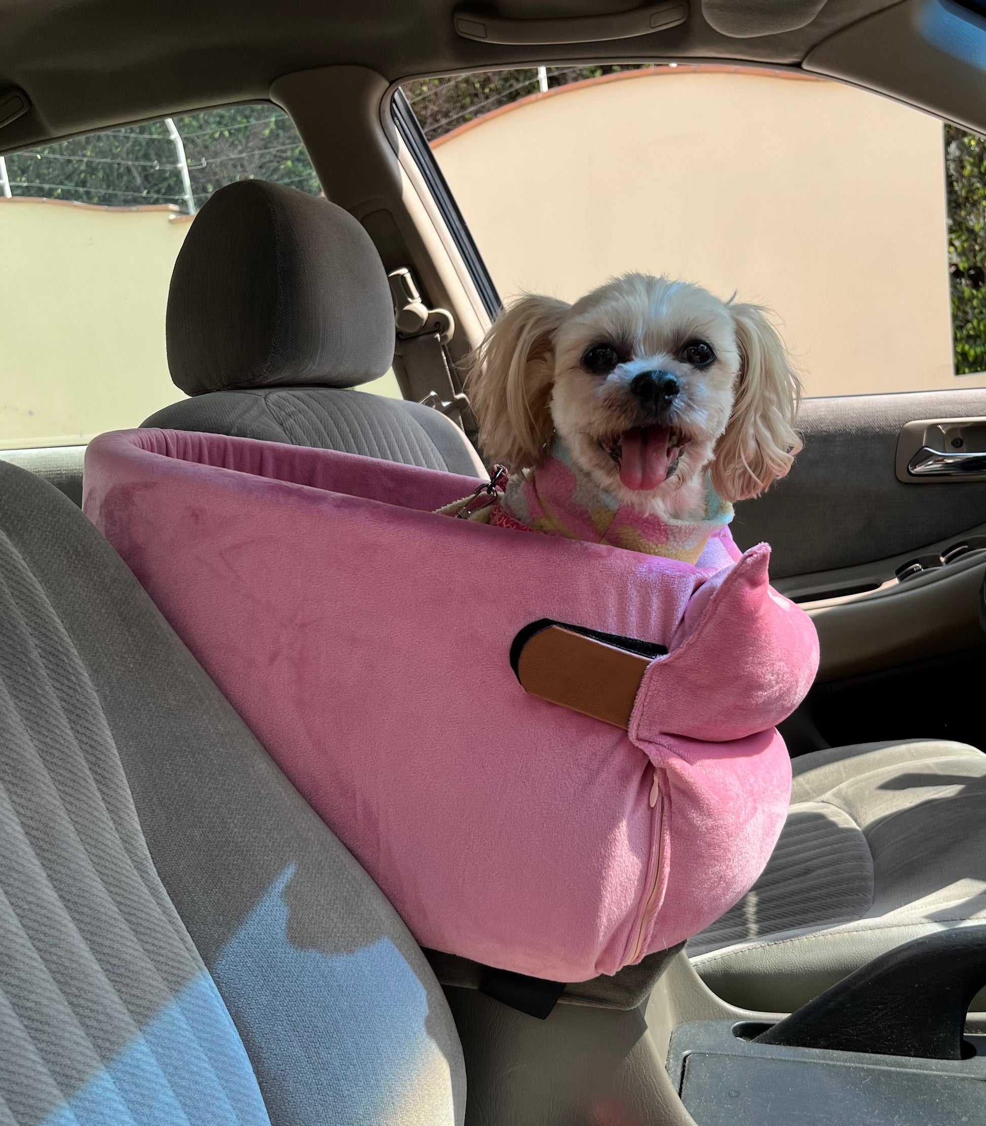 Asiento de auto